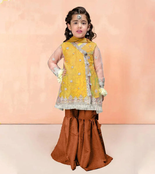 Young girl in a yellow and brown traditional outfit against a pink background