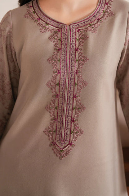 Premium 3 Pcs Dhanak Embroidered Suit | Luxury Winter Collection